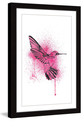 Hummingbird Pink