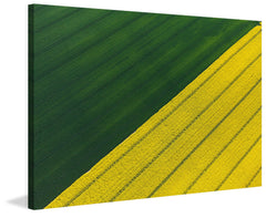 Green and Yellow Crops