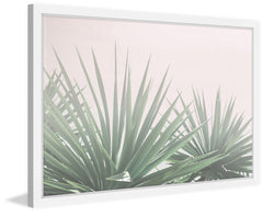 Pointy Bushes