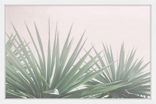Pointy Bushes