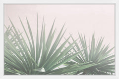 Pointy Bushes