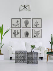 Cactus Variety II Hexaptych