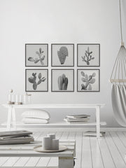 Cactus Variety II Hexaptych