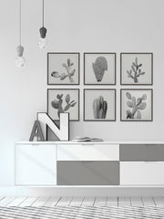 Cactus Variety II Hexaptych