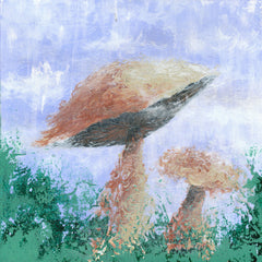 Mushroom Mist