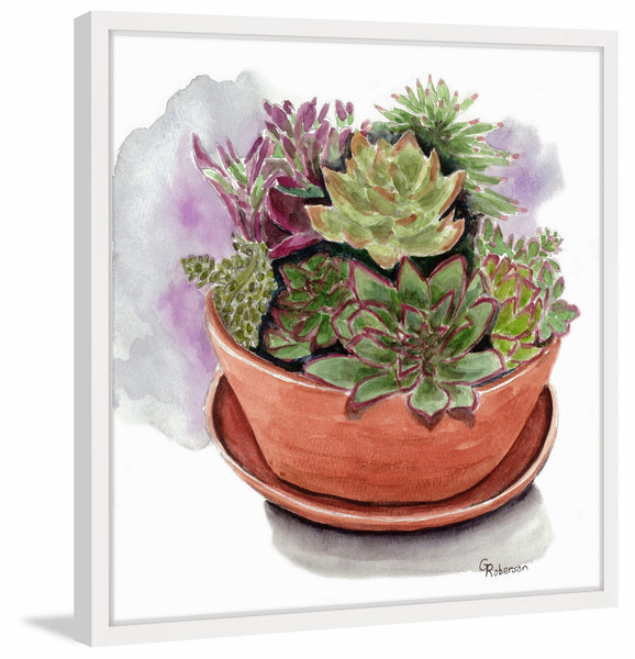marmont hill succulent Succulents – Marmont Hill