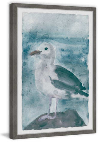 Bird on the Rock