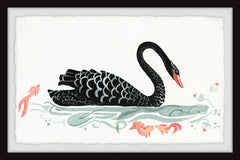 Black Swan and Kois