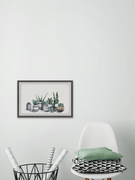 marmont hill succulent Succulent Desert – Marmont Hill