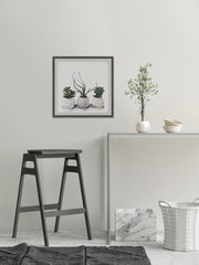 Classy Succulents