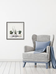 Classy Succulents
