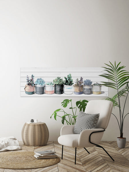 marmont hill succulent Cacti and Succulents – Marmont Hill