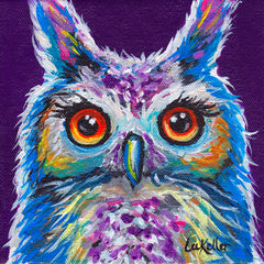 Owl Sasha