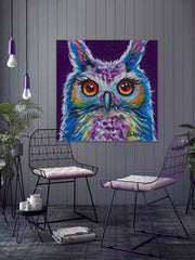 Owl Sasha