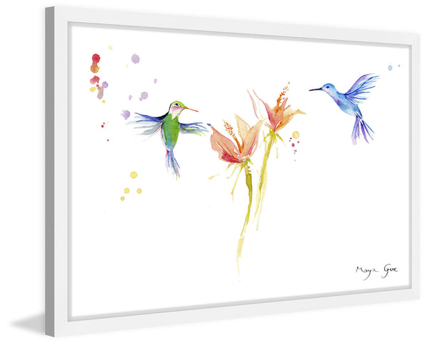 Hummingbirds Hover