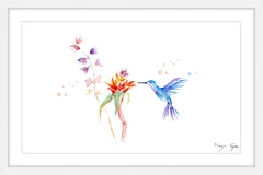 Blue Hummingbird