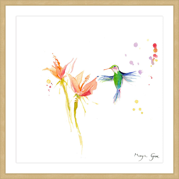 Green Hummingbird