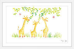 Three Giraffes