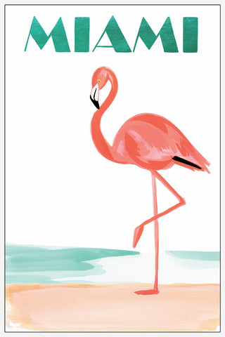 Miami Flamingo II