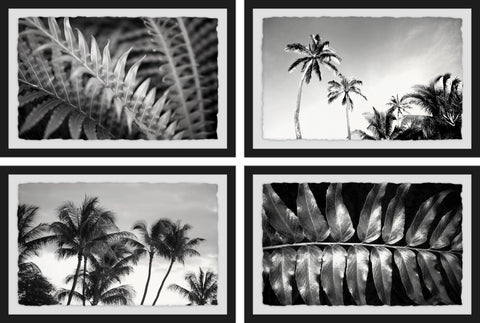 Palm Trees Quadriptych