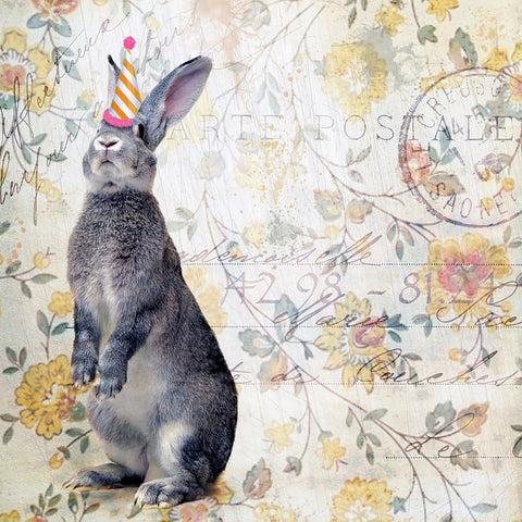 Party Rabbit