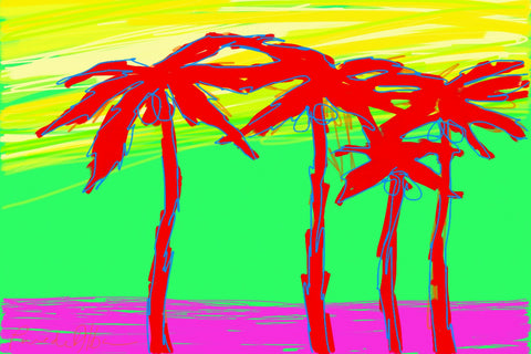 California Palms 2