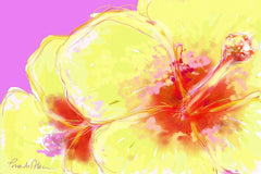 Yellow Hibiscus