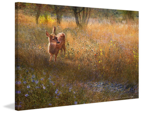 Flowered Meadow Fawn