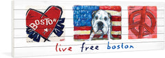 Live Free Boston