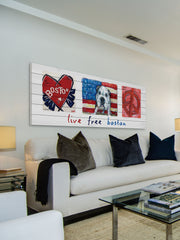 Live Free Boston