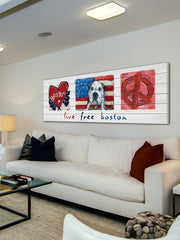 Live Free Boston
