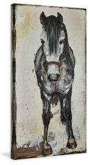 Pony