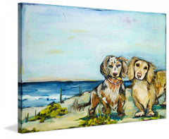 Beautiful Dachshunds