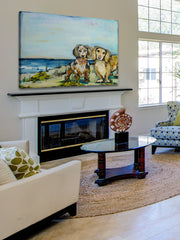 Beautiful Dachshunds