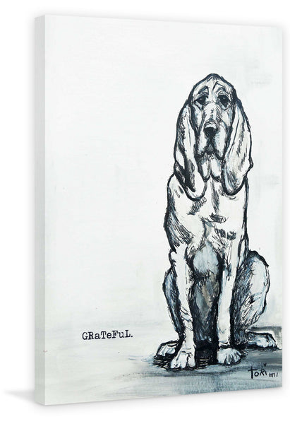 Grateful Hound Dog