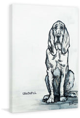 Grateful Hound Dog