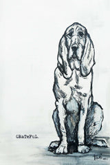 Grateful Hound Dog