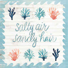 Salty Air Sandy Hair