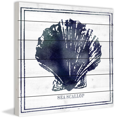 Sea Scallop