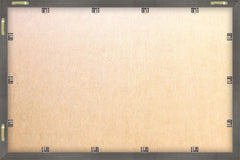 Three Potted Succulents