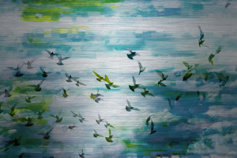 Marsh