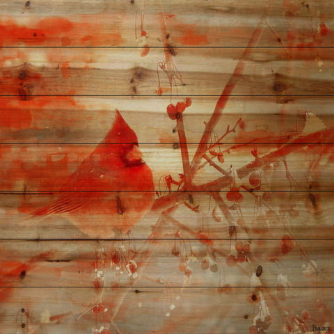 Red Mountain