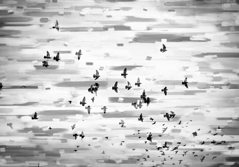 Birds in Flight
