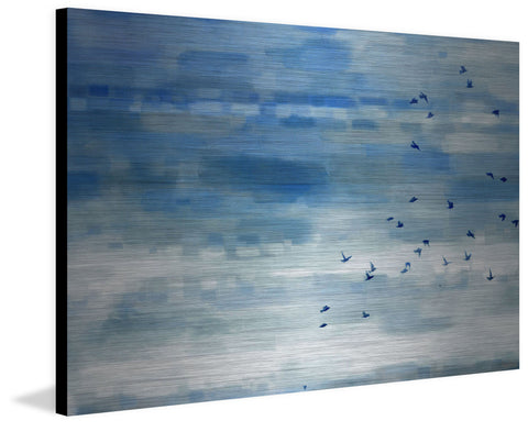 Soaring Flock