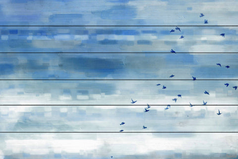Soaring Flock