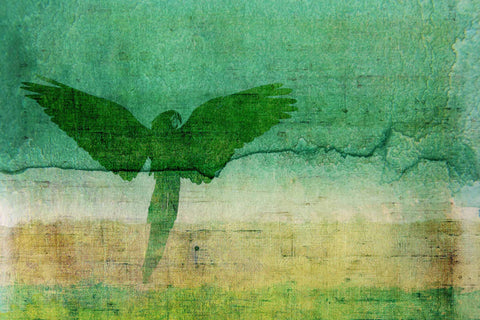 Open Wings
