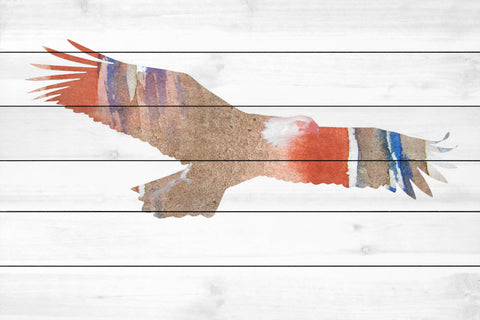 American Eagle