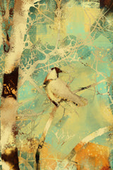 Collage Bird and Birch