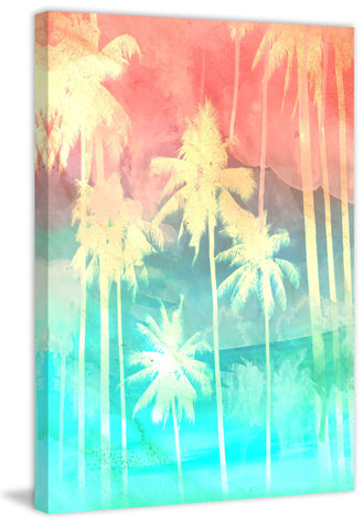 Palm Trees