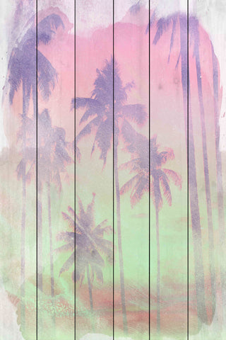 Backlit Palms
